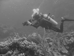 Diver taking video in Bonaire by Kelly N. Saunders 